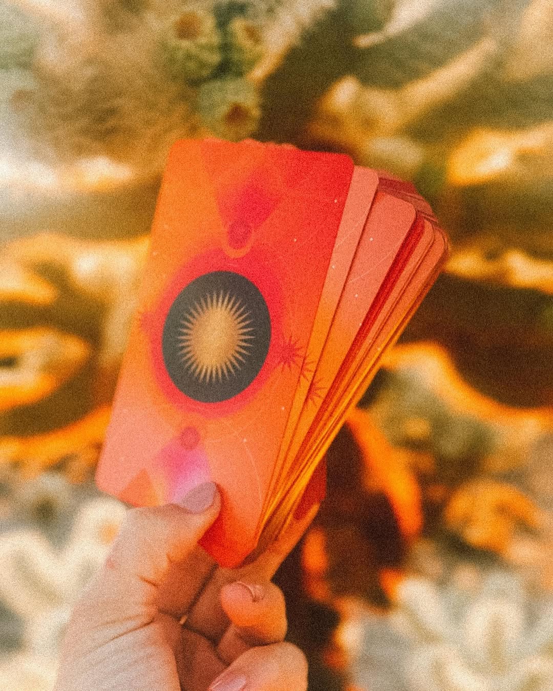 The Radiant Wilds Tarot
