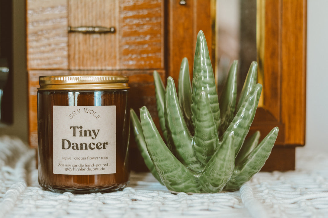 Tiny Dancer