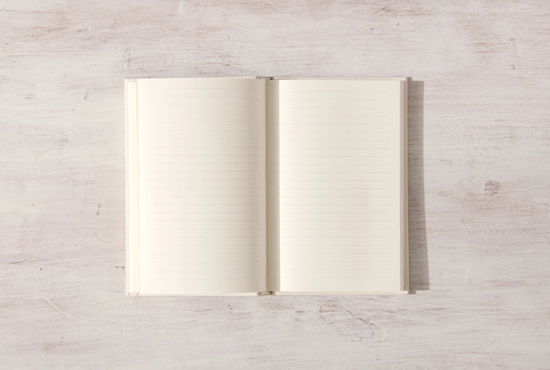Write in These Pages Journal