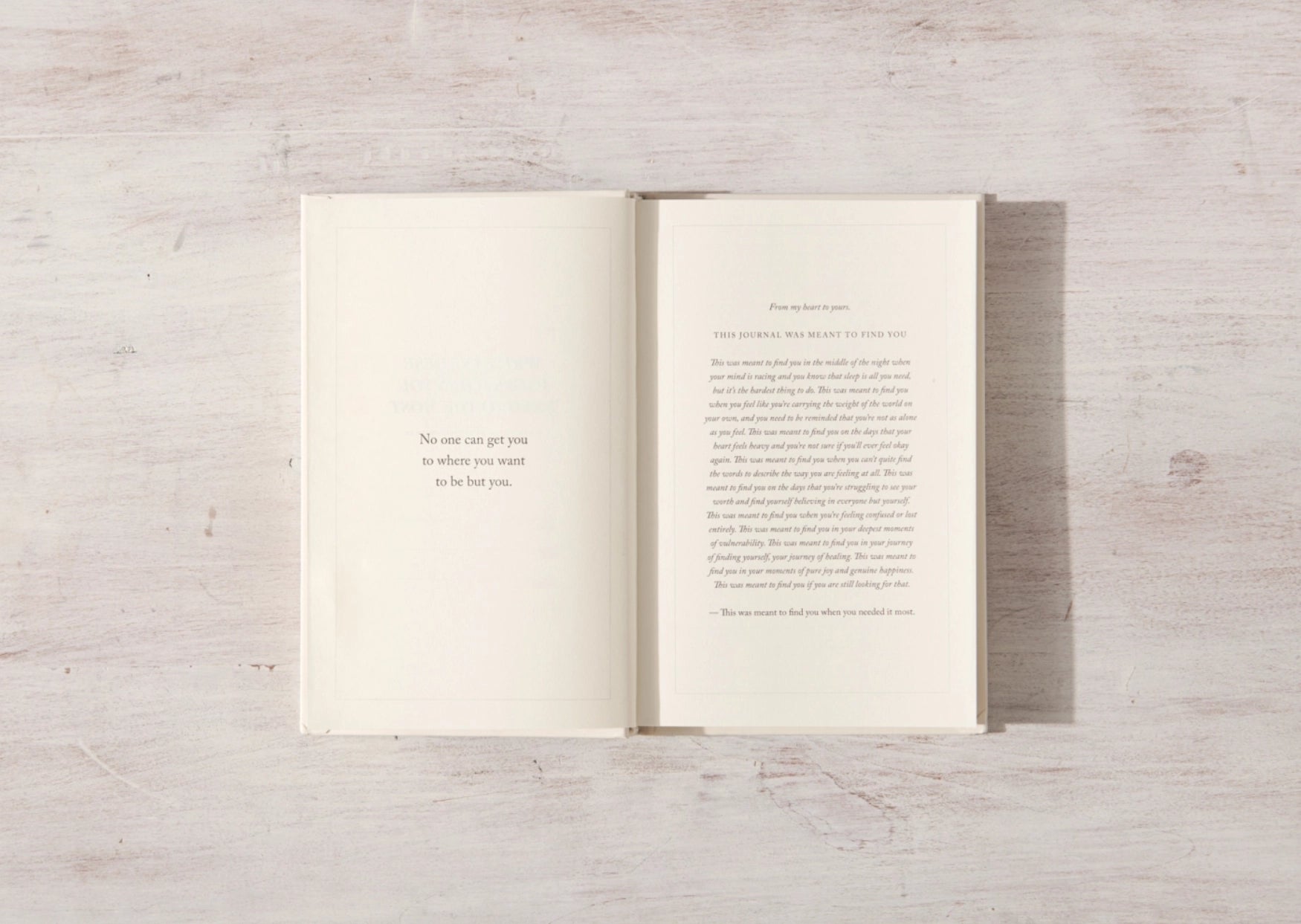 Write in These Pages Journal