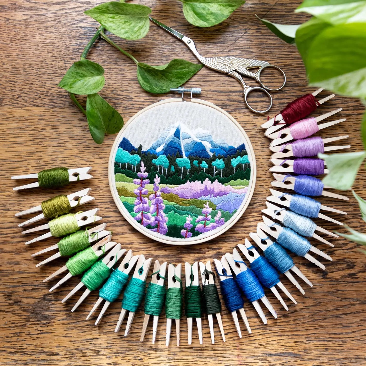 Mount Robson Diy Embroidery Kit