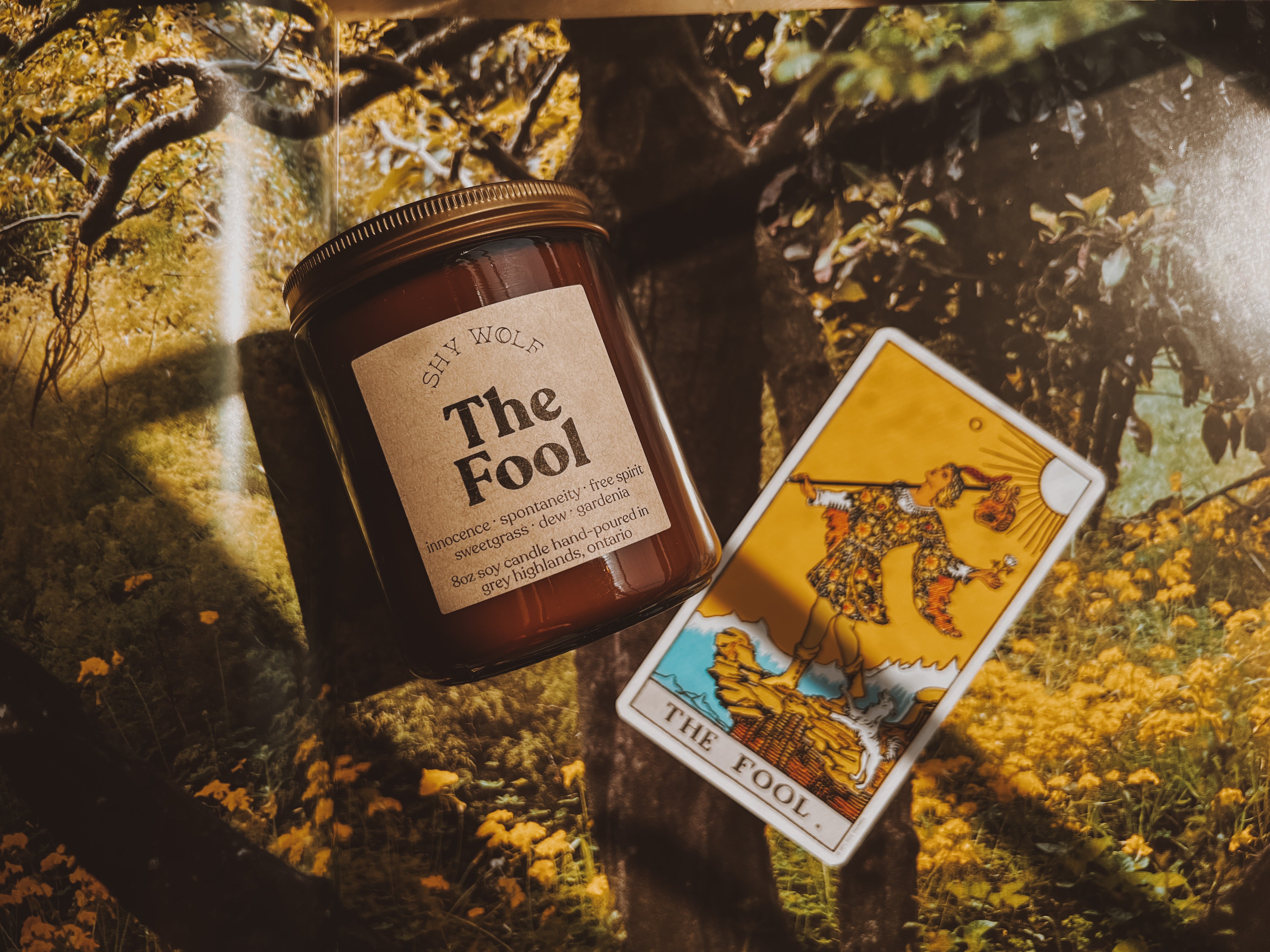 The Fool