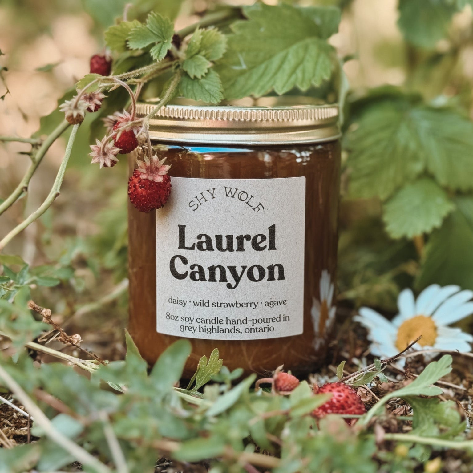 Laurel Canyon