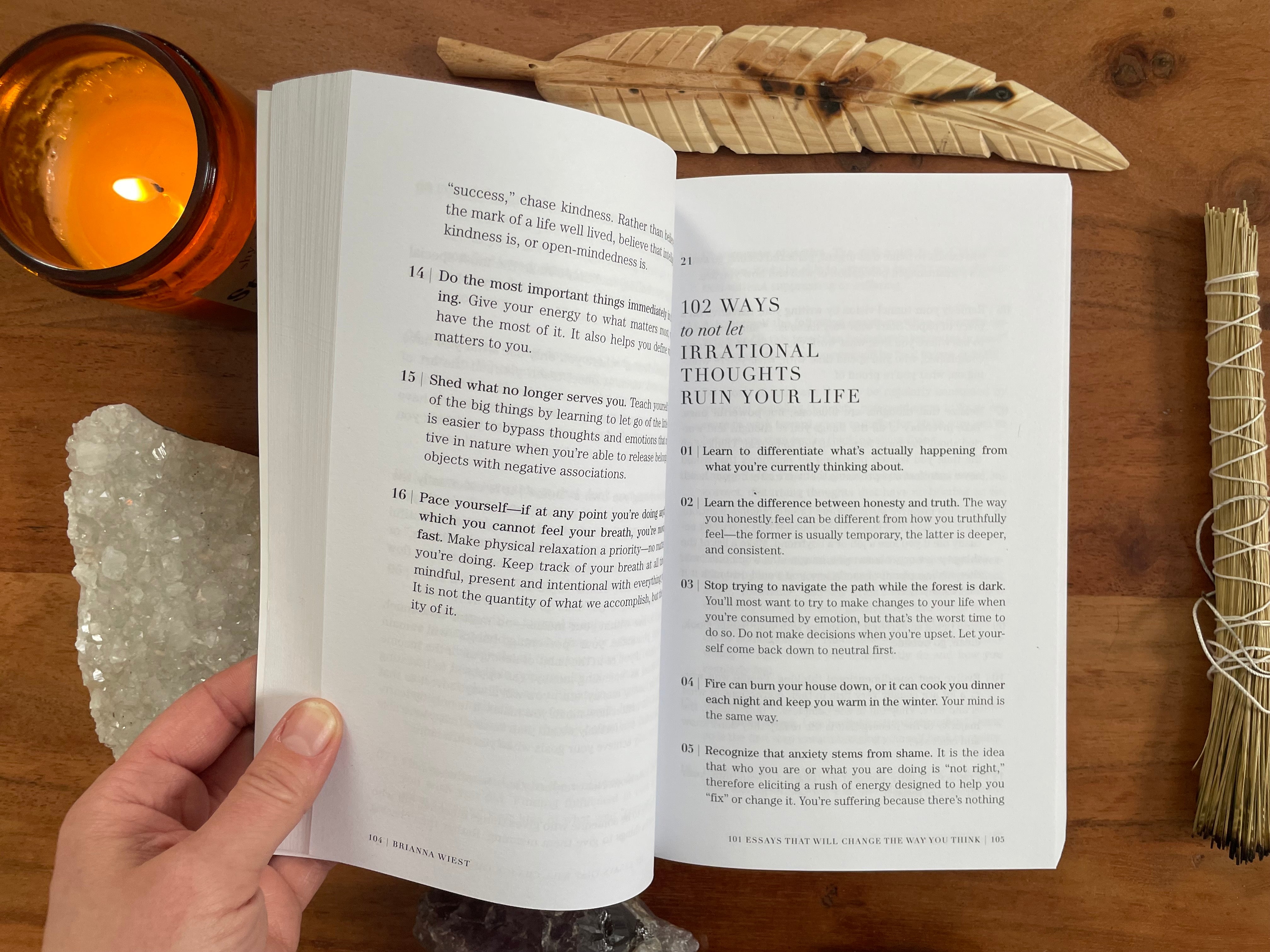 101 Essays That Will Change the Way You Think