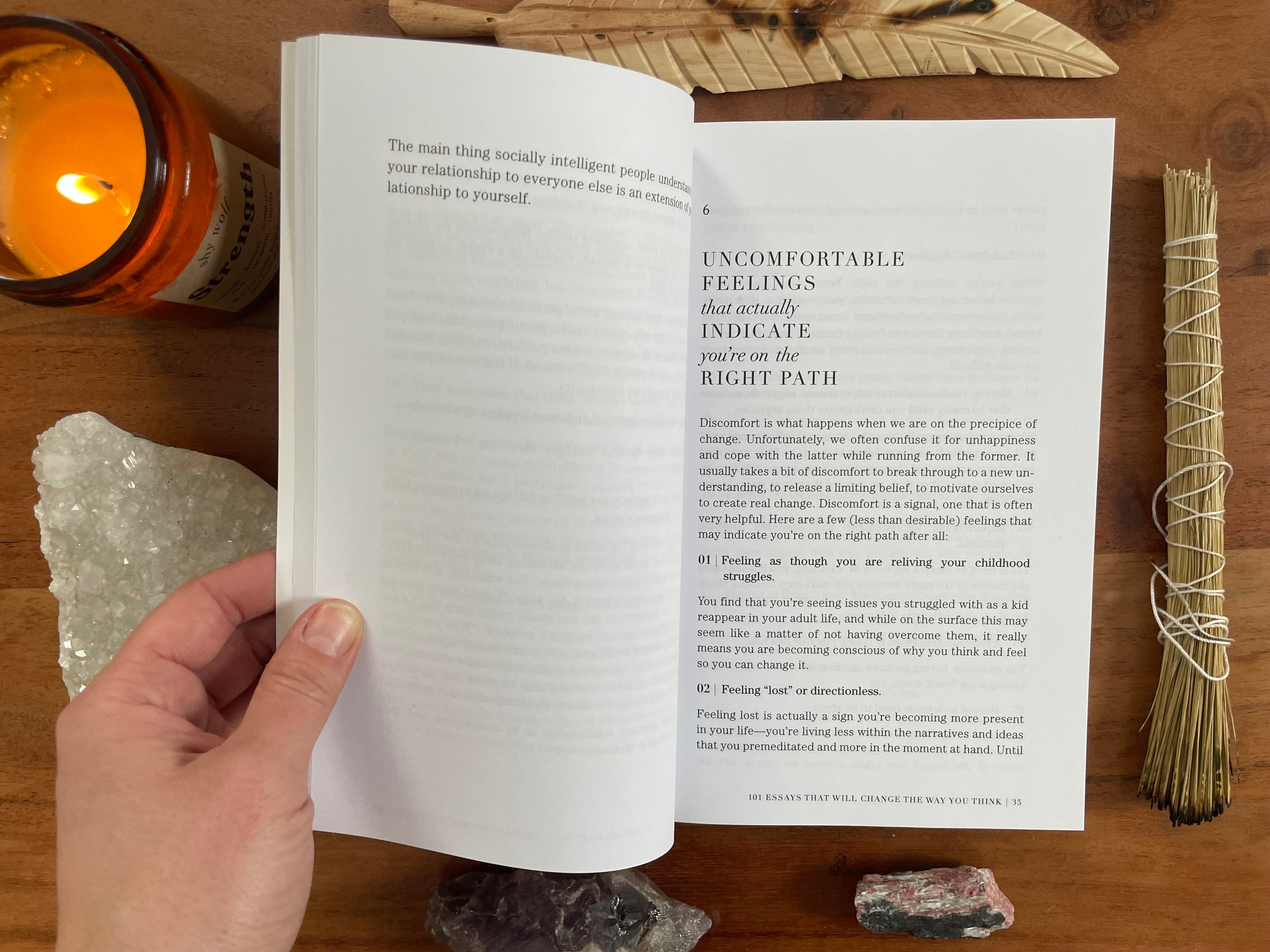 101 Essays That Will Change the Way You Think