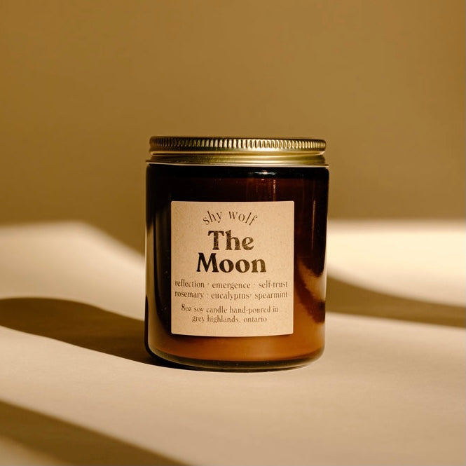 The Moon