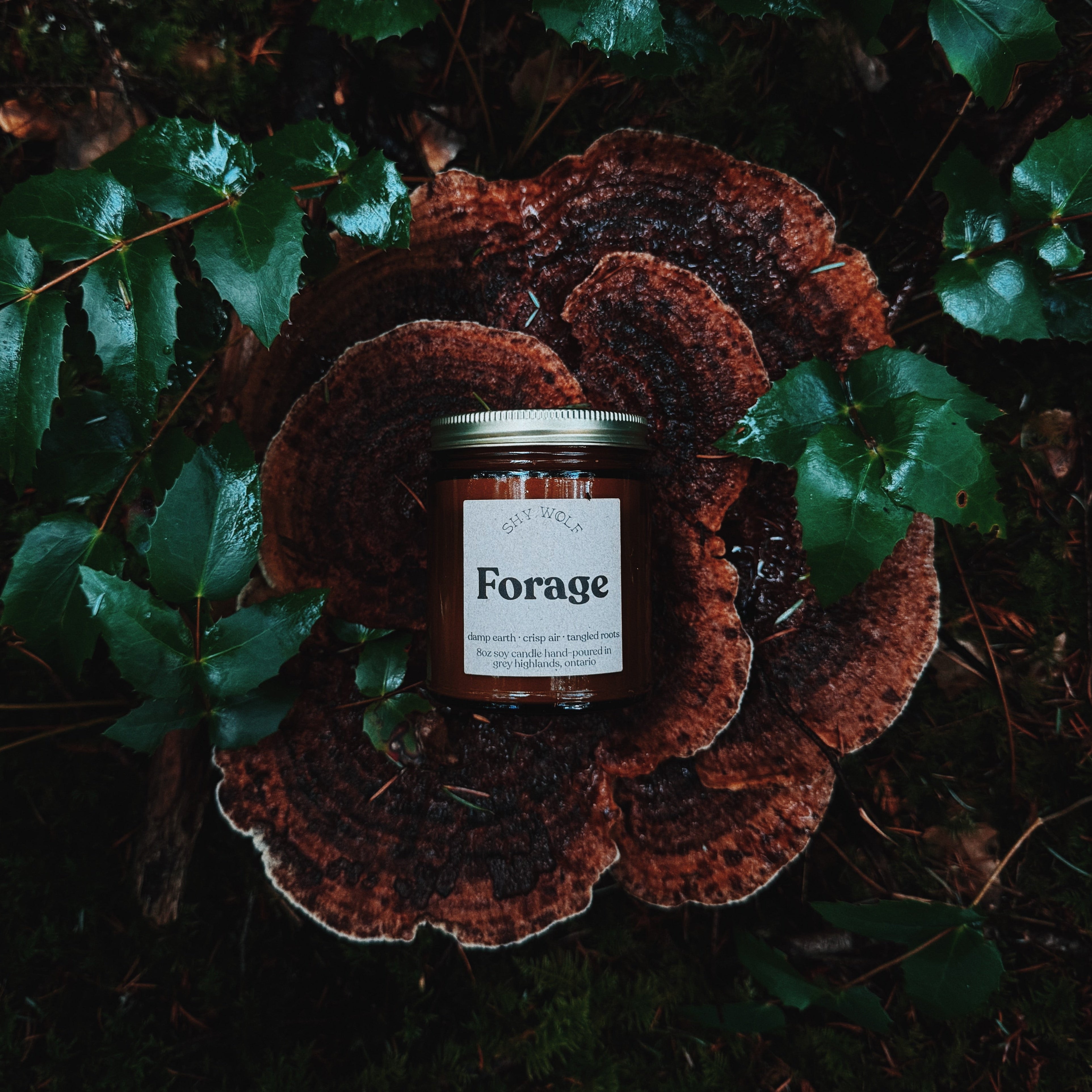 Forage