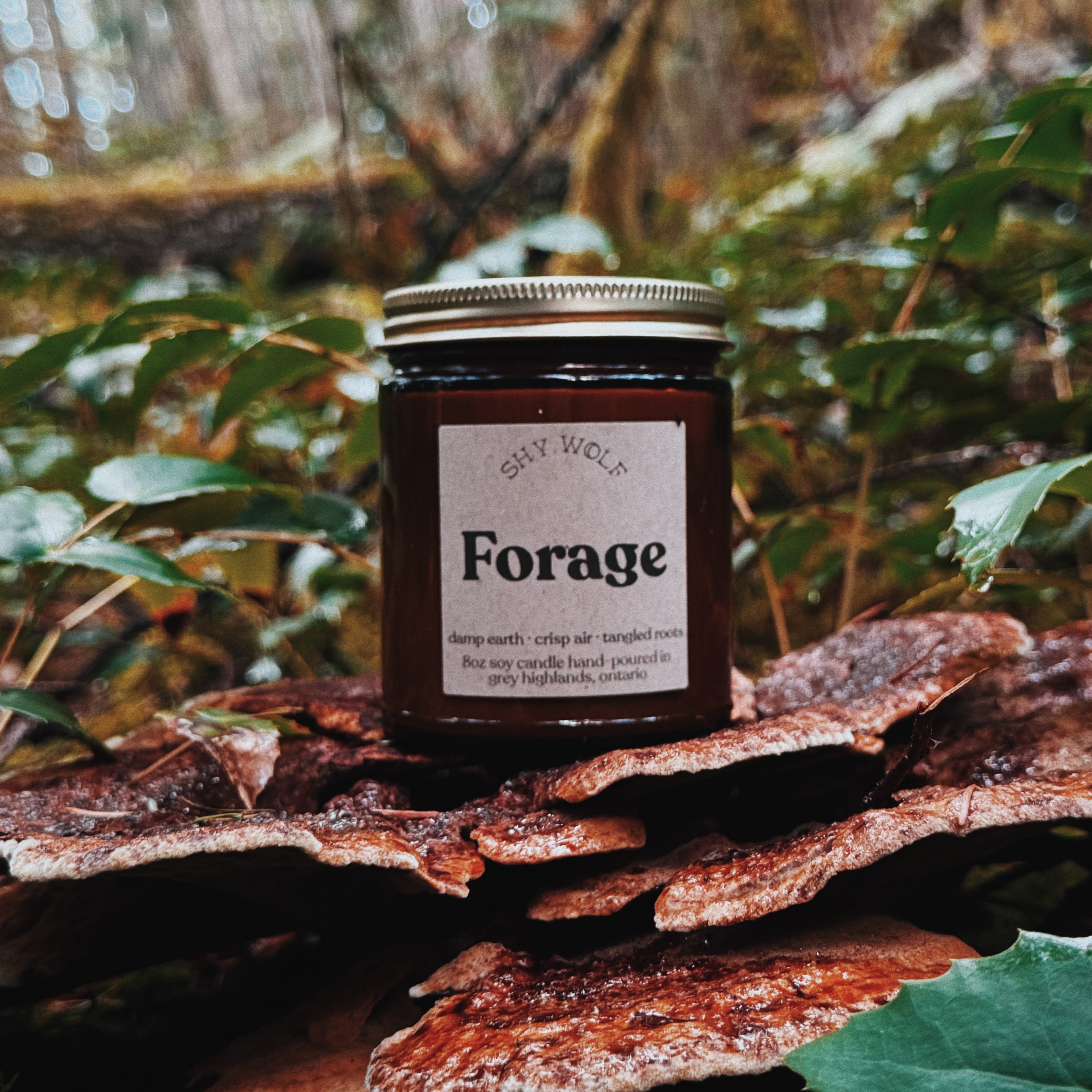 Forage