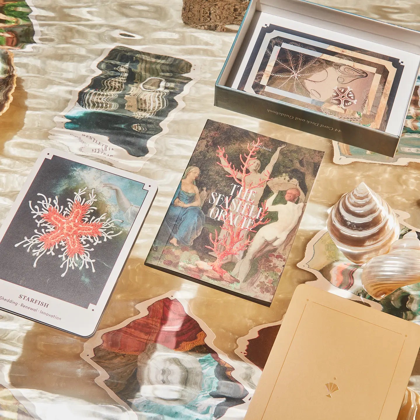 The Seashell Oracle Deck