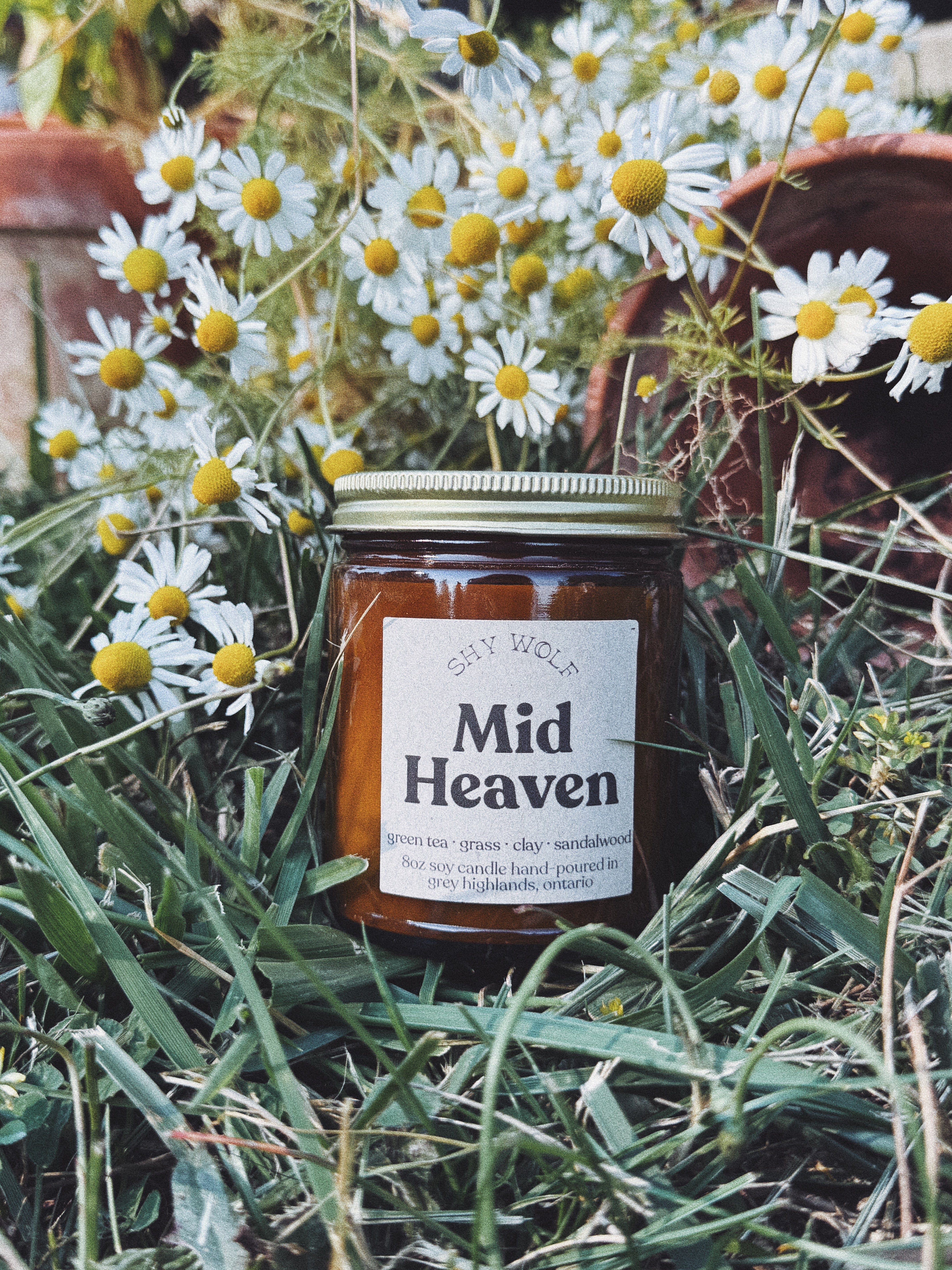 Midheaven