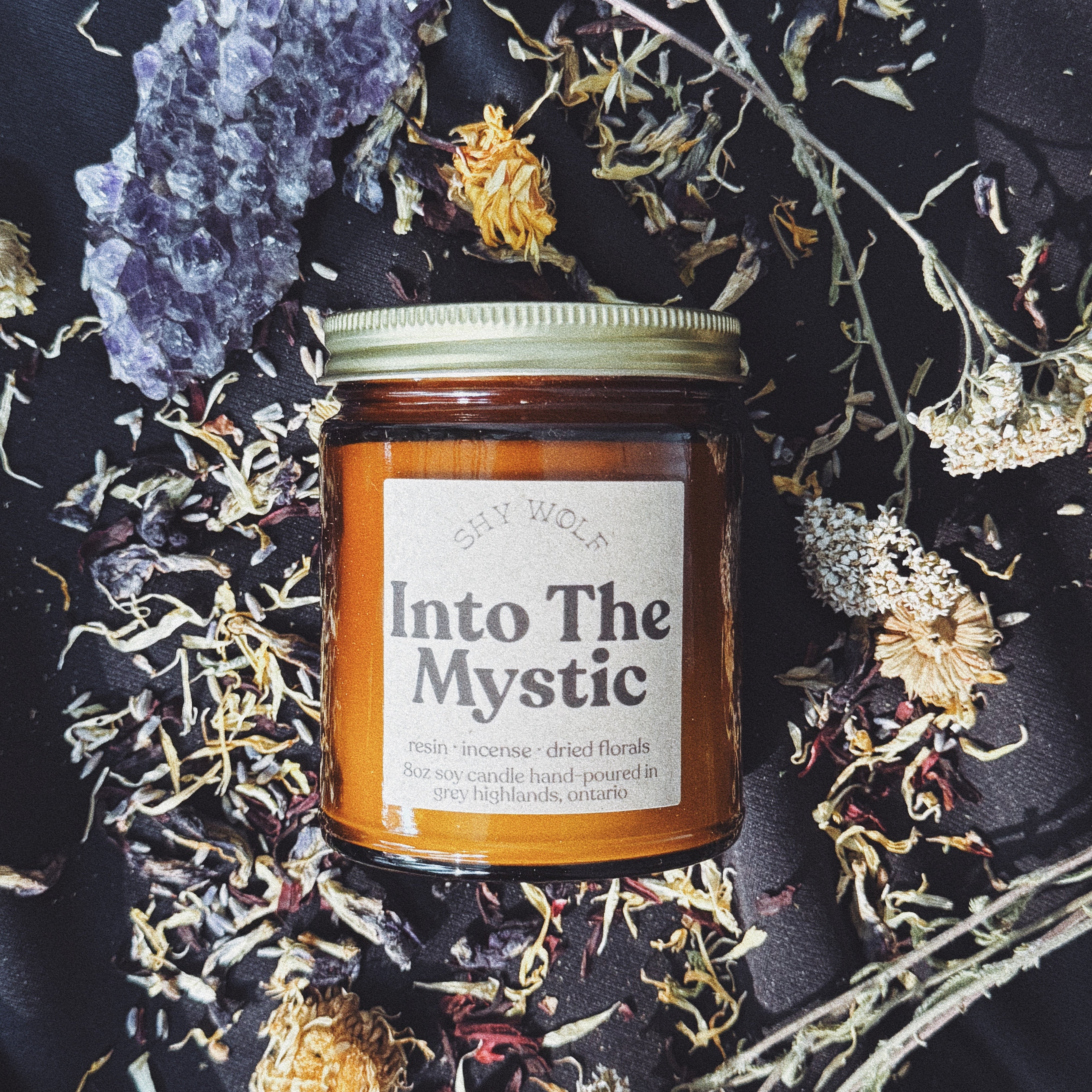 A glass jar candle with a gold lid and a white label reading 'Into The Mystic' by Dry Wolf, styled on a black fabric background with dried flowers and botanicals.