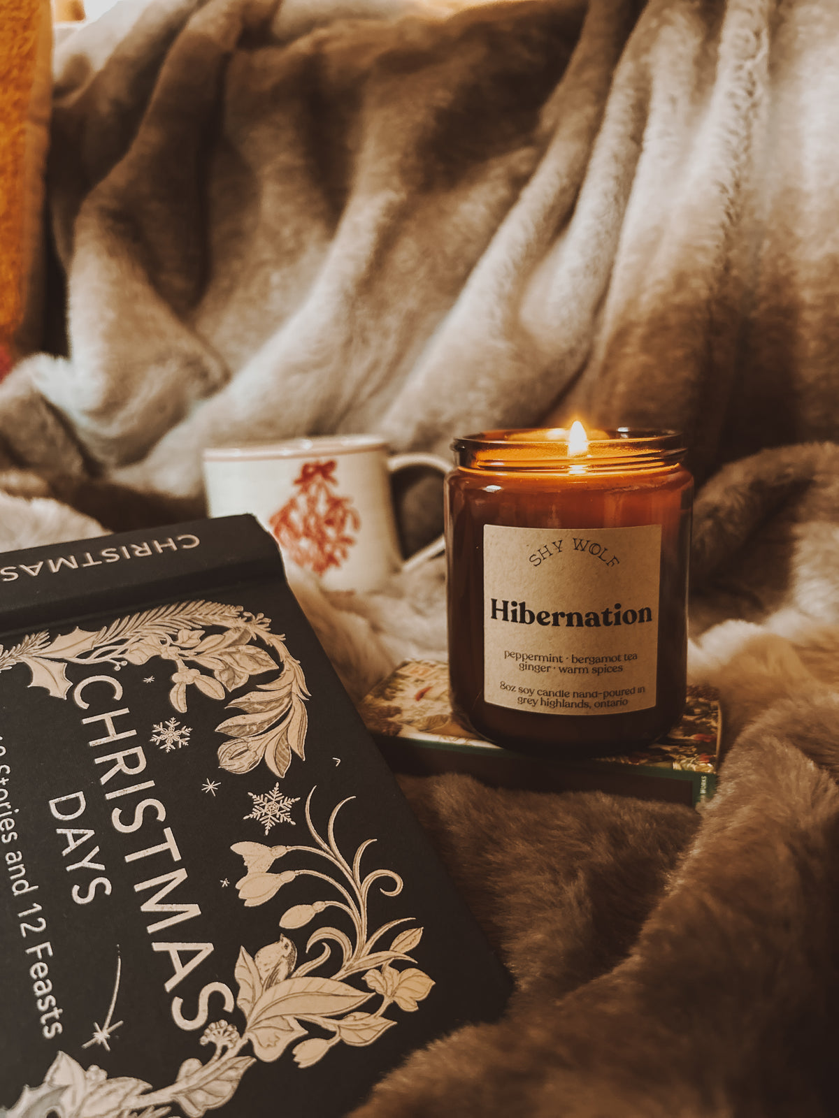 Shy Wolf Candles Candles Inspired by Tarot, Stardust and Rock & Roll