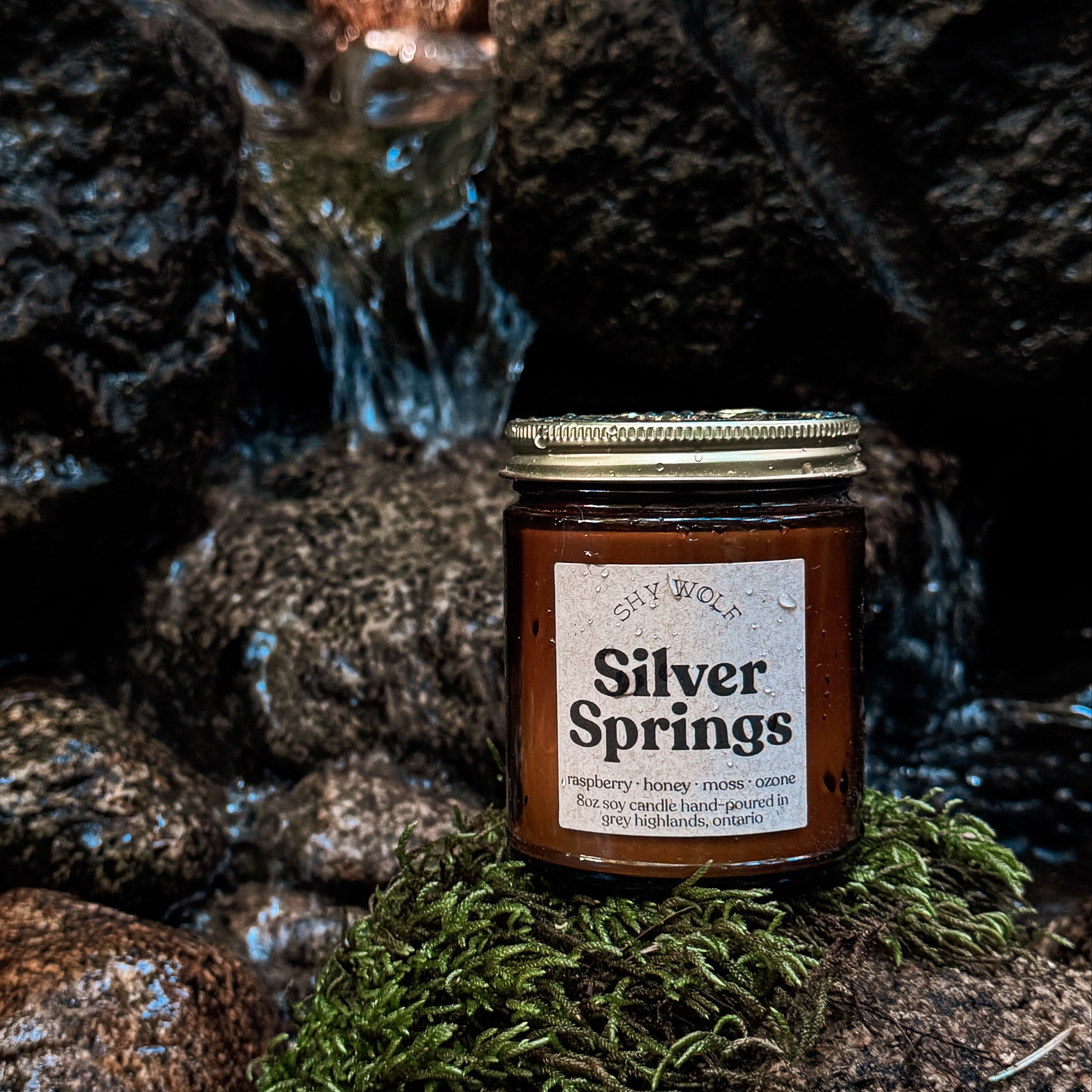A jar of Silver Springs honey and wildflower honey candle placed on mossy rocks near a small stream, with dark wet stones in the background.