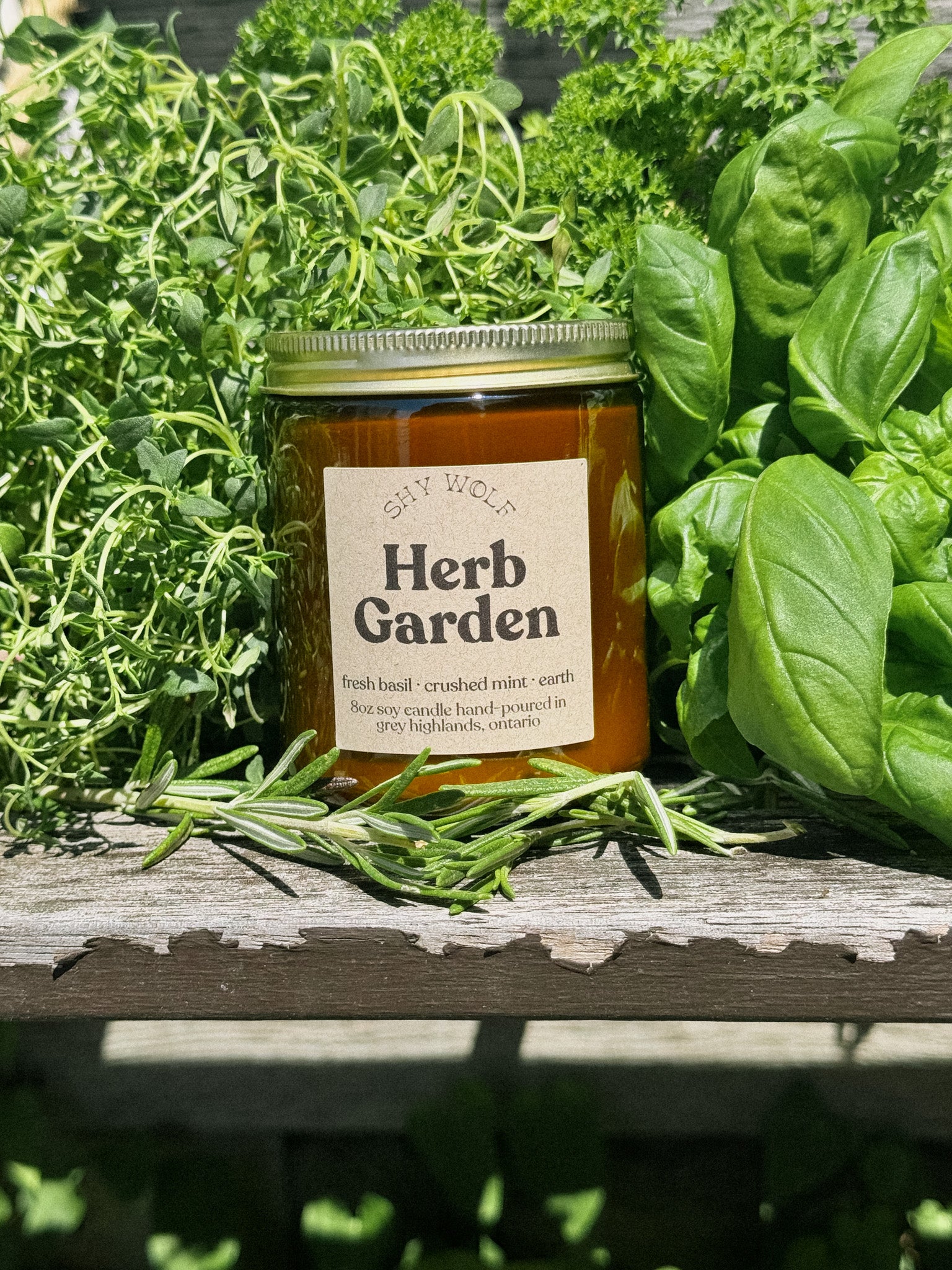 Herb Garden